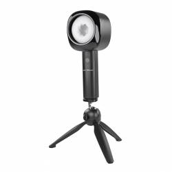 Vortex Dame Rose Zero Tolerance Noir