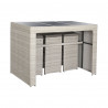 Ensemble Table  6 Chaises DKD Home Decor Acier rotin synthétique 143 x 80 x 100 cm