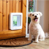SUREFLAP Grande chatiere a puce électronique blanc