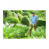 RYOBI - Coupe-bordures 18V ONE - Ø coupe 25-30 cm - Ø fil 1 x 1,6 mm  1 batterie 18V 2,5 Ah et 1 chargeur 2,0 A - RLT183225F