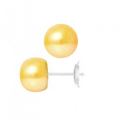 PERLINEA- Boucle d'Oreilles- Perles de Culture d'Eau Douce- Bouton Diamètre 9-10  mm Gold- Bijou Femme- Or Blanc