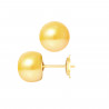 PERLINEA- Boucle d'Oreilles- Perles de Culture d'Eau Douce- Bouton Diamètre 9-10  mm Gold- Bijou Femme- OrJaune