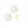 PERLINEA- Boucle d'Oreilles- Perles de Culture d'Eau Douce- Bouton Diamètre 9-10  mm Blanc- Bijou Femme- OrJaune